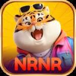 nrnr - Gaming Supreme