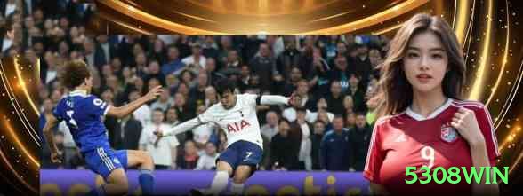 5308win - Deluxe v1.4.8 Screenshot 2